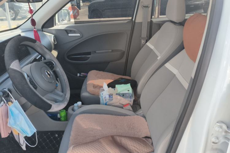 Used ORA White Cat 2020 305 km Luxury Version Left Front Seat