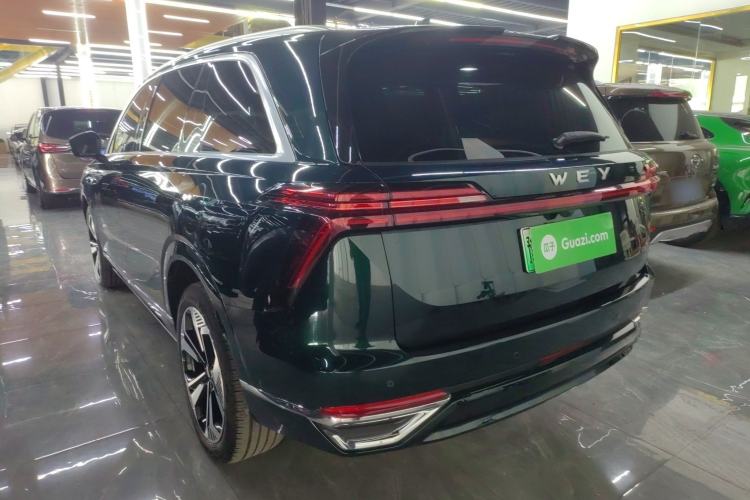 Used Wey Lanshan 2023 Four-Wheel Drive Ultra-Long Range Version Rear Left 45 Deg