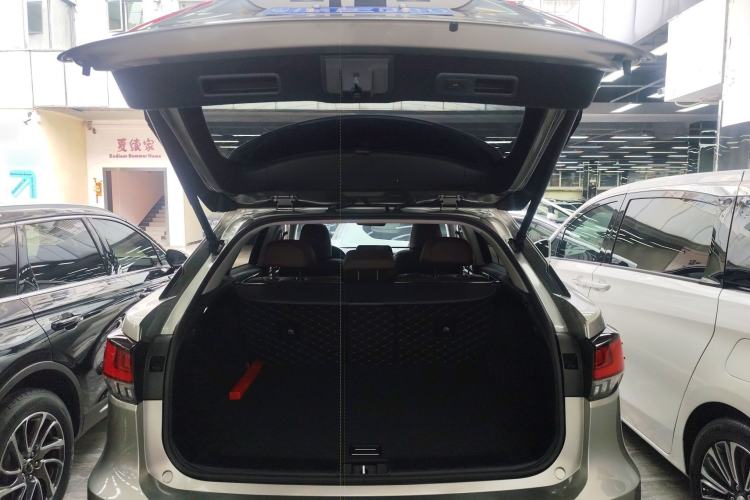 Used Lexus RX 2020 Revised Version 300 Two-Wheel Drive Elite Edition