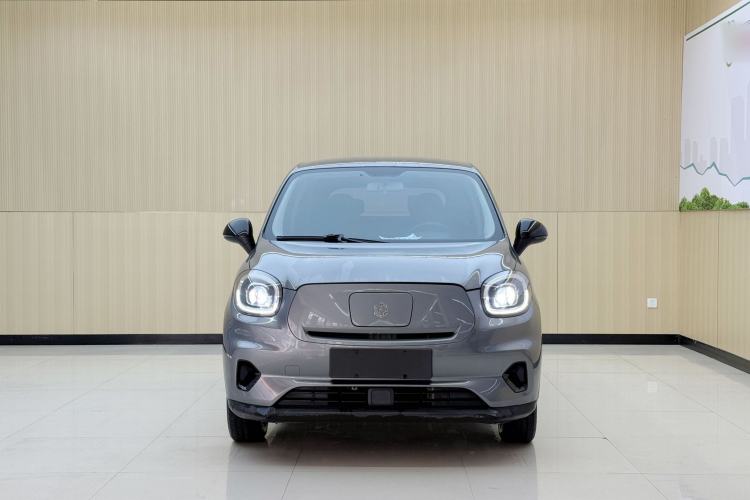 Used Leapmotor T03 2021 400 Lite Edition Lithium Iron Phosphate