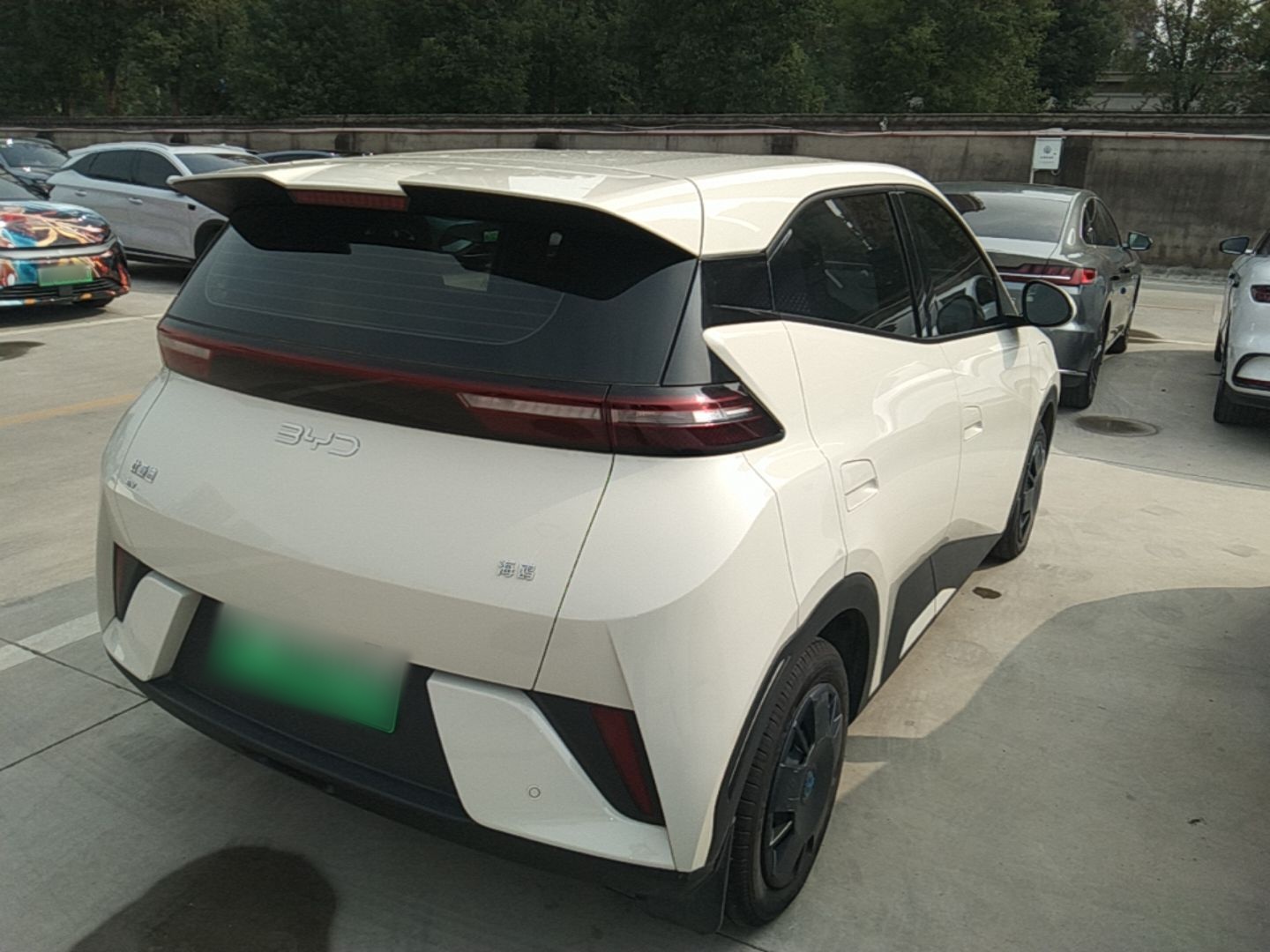 BYD Seagull 2025 Intelligent Driving Version 305 km Dynamic Edition — снимка 6