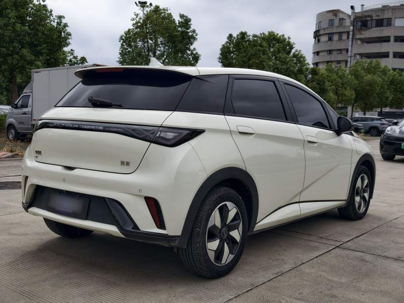 Used BYD Dolphin 2025 420km Fashion Edition — 30