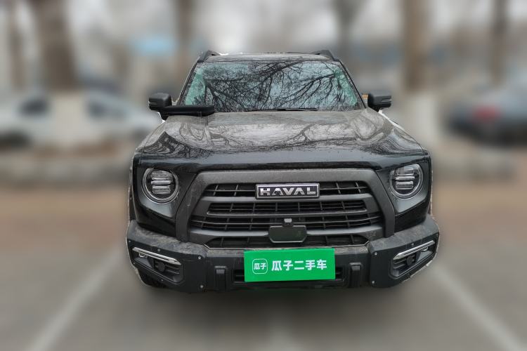 Used Haval DARGO 2024 2.0T DCT Chinese Rural Dog Edition
