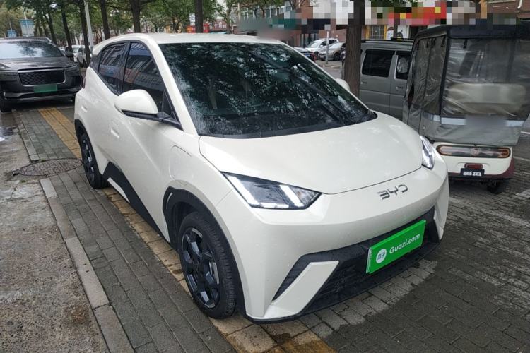 Used BYD Seagull 2025 305 km Free Version