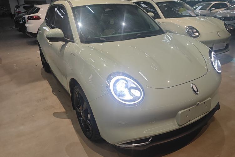 Used ORA Good Cat 2024 501 km Luxury Version Front Right 45 Deg