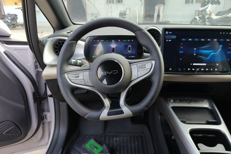 Used BYD Dolphin 2025 Smart Drive Version 420 km Freedom Edition