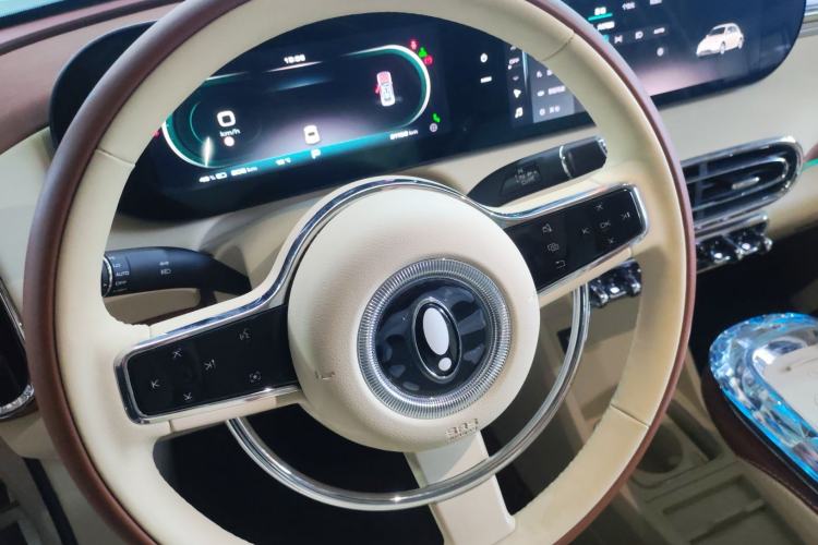 Used ORA Ballet Cat 2023 401 km Luxury Version