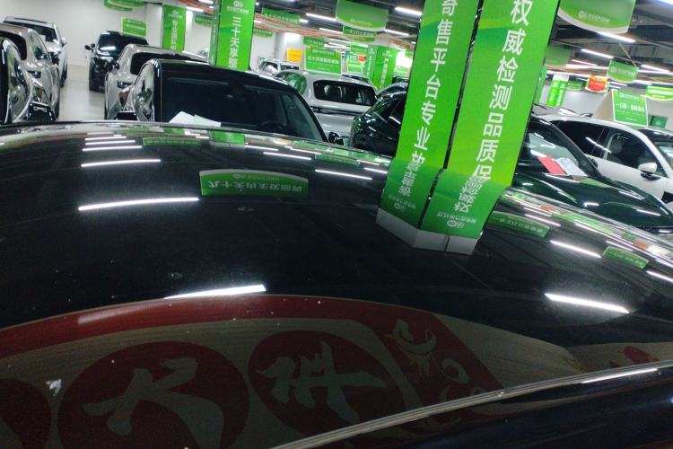 Used Tesla Model Y 2021 Standard Range Rear-Wheel Drive Version Roof