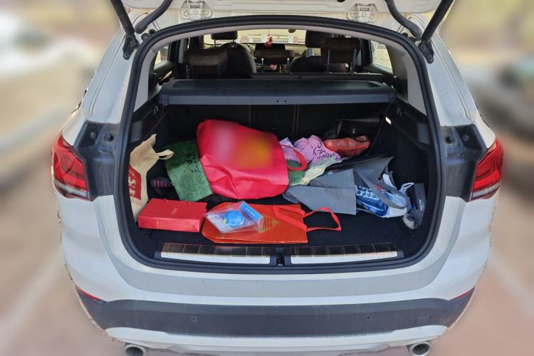 Used BMW X1 2020 sDrive20Li Premium Edition