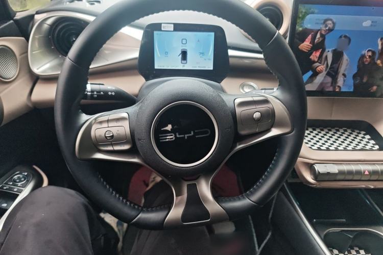 Used BYD Dolphin 2023 420 km Fashion Edition Steering Wheel