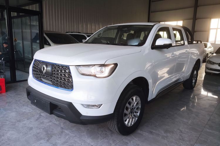 Used Great Wall Poer New Energy 2021 Commercial Edition Leading-Edge Big Double