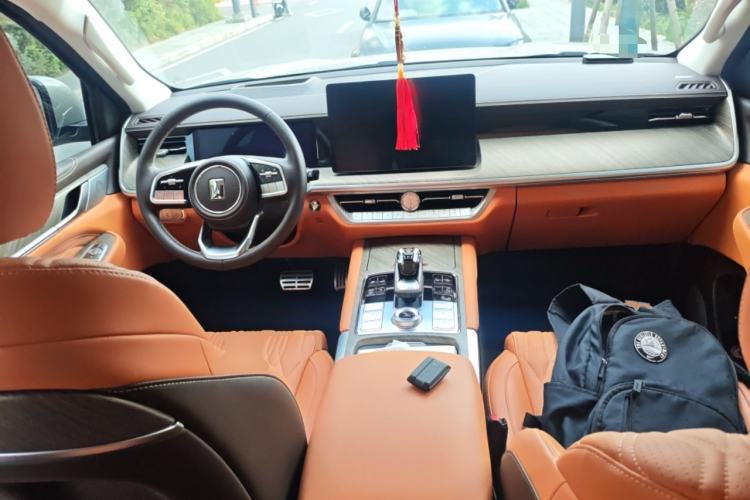 Used Tank 500 New Energy 2025 Hi4-Z
