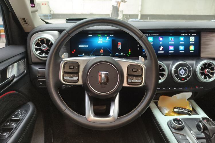 Used Tank 300 2023 City Edition 2.0T—Stylish as Ever Steering Wheel