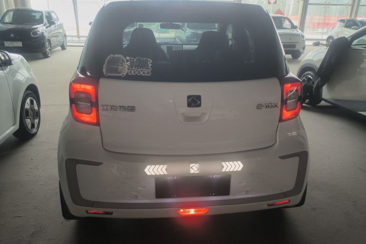 Used SOL E10X 2022 Flower Fairy Style Baby's Breath