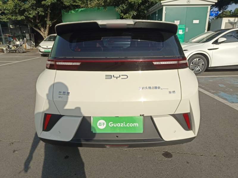 Used BYD Seagull 2025 Intelligent Driving Version 305 km Dynamic Edition — 5