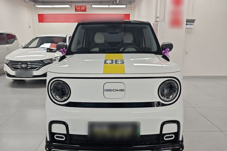 Used Geely Galaxy Panda 2024 200km Panda Kart
