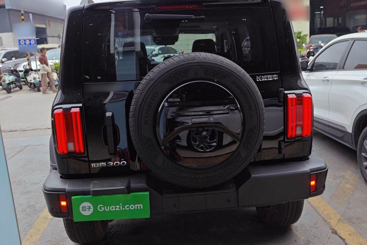 Used Tank 300 2024 2.0T Conqueror