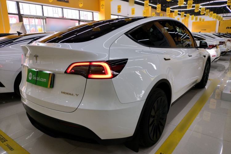 Used Tesla Model Y 2022 Revised Version Long-Range All-Wheel Drive
