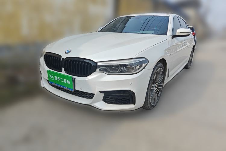 Used BMW 5 Series 2019 530Li Leading Model M Sport Package