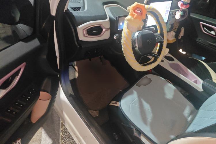 Used SOL E10X 2022 Flower Fairy Design Sunflower
