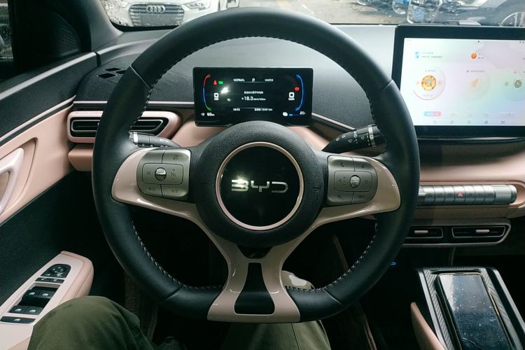 Used BYD Seagull 2025 305 km Free Version