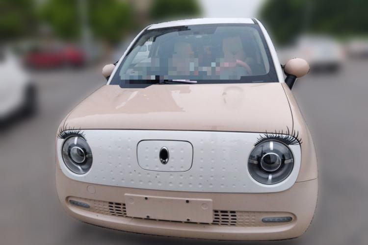 Used ORA Black Cat 2021 351 km Standard Version
