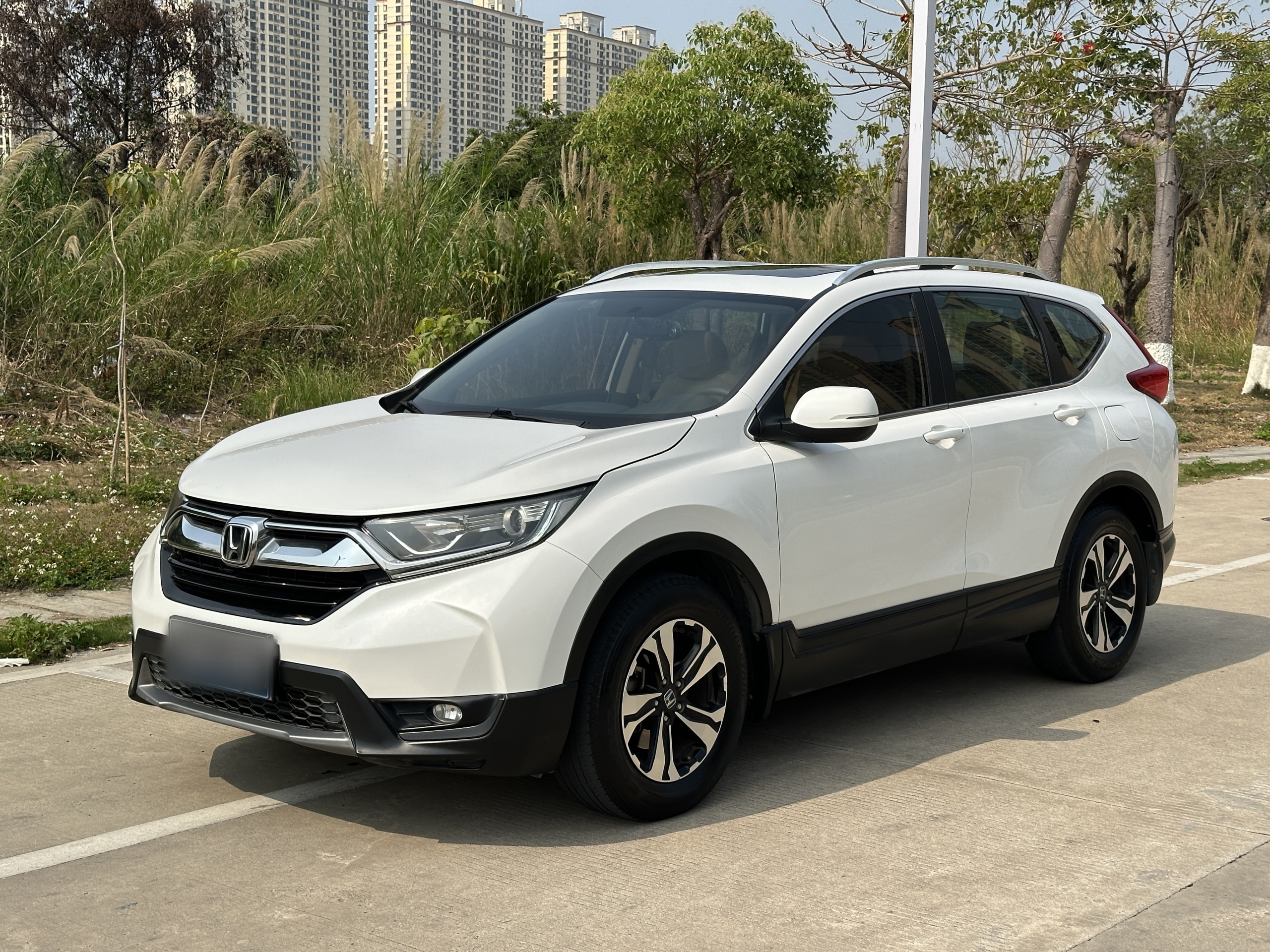 Parte inferior delantera