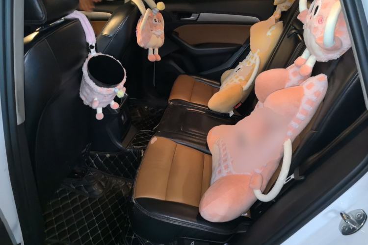 Used Audi Q5 2013 40 TFSI Ambition Left Rear Seat