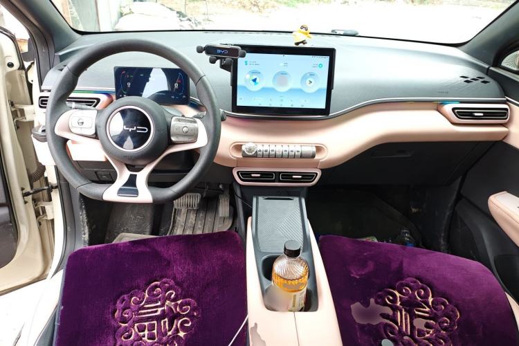 Used BYD Seagull 2023 Active Version Center Console