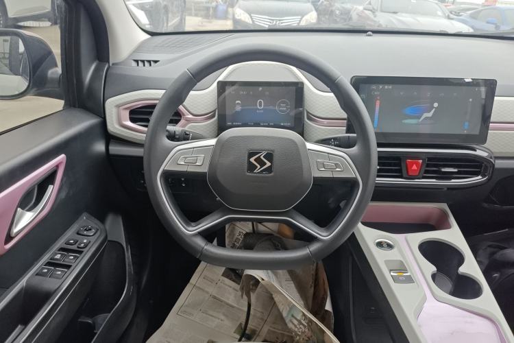 Used SOL E10X 2022 Flower Fairy Design Four-Leaf Clover