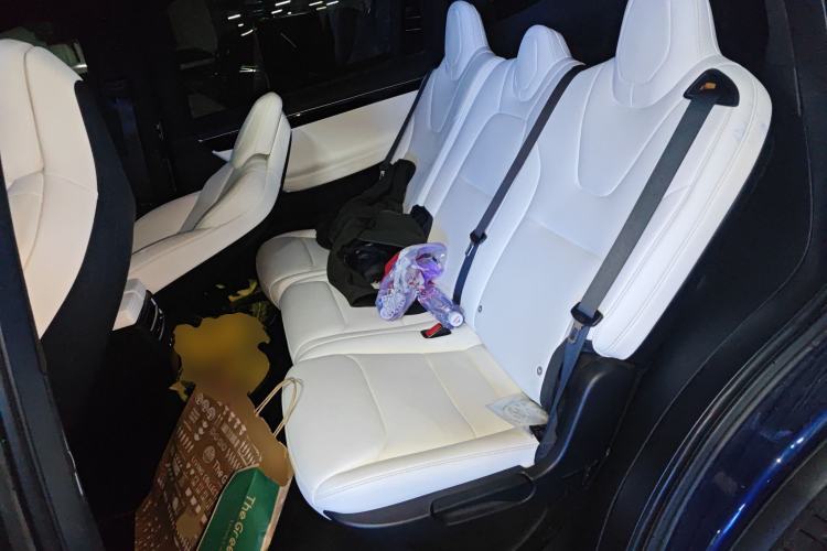 Used Tesla Model X 2017 X 100D Long Range Edition