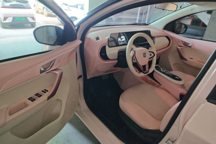 Used CHANGAN Benni E-Star 2020 Xinyue Edition Lithium Iron Phosphate (31.95 kWh)