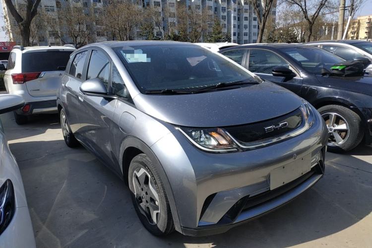 Used BYD Dolphin 2021 405 km Free Version
