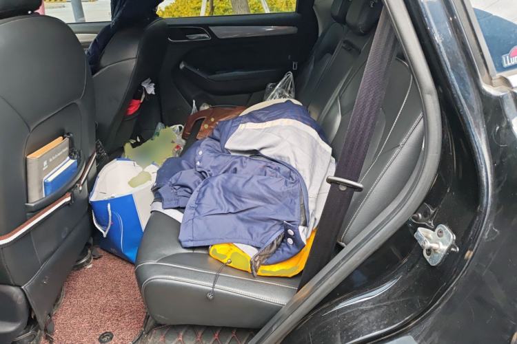 Used Roewe RX5 2017 20T Two-Wheel Drive Automatic Internet Elite Edition Left Rear Seat