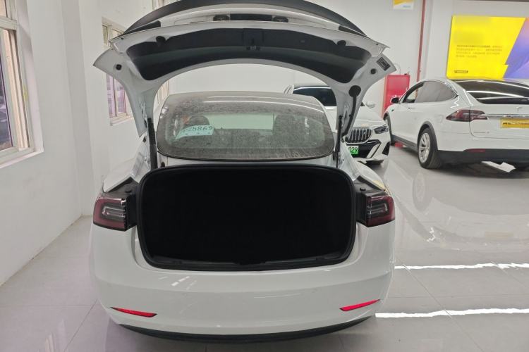 Used Tesla Model 3 2021 Performance High-Performance All-Wheel-Drive Version