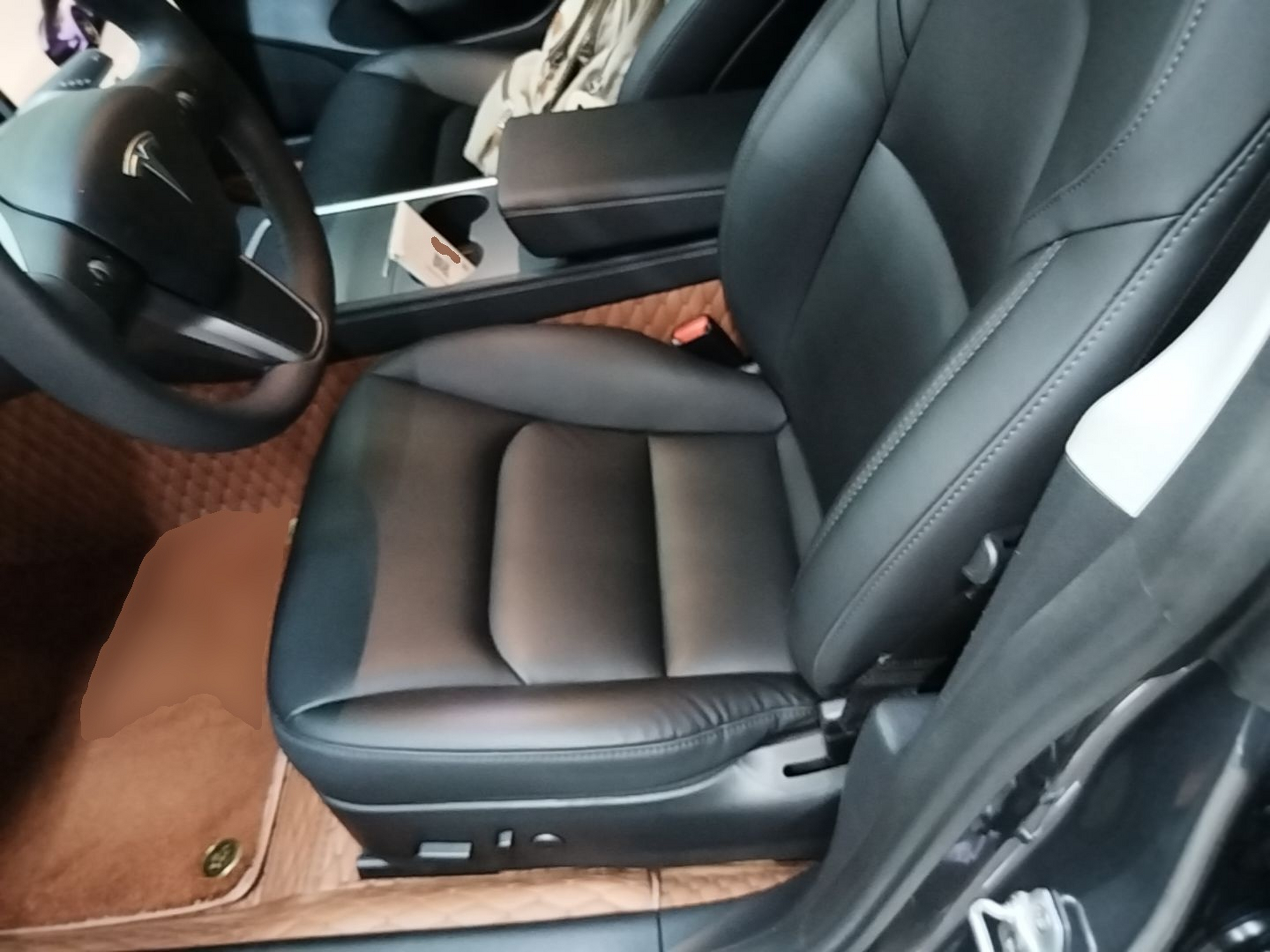 Interior delantero
