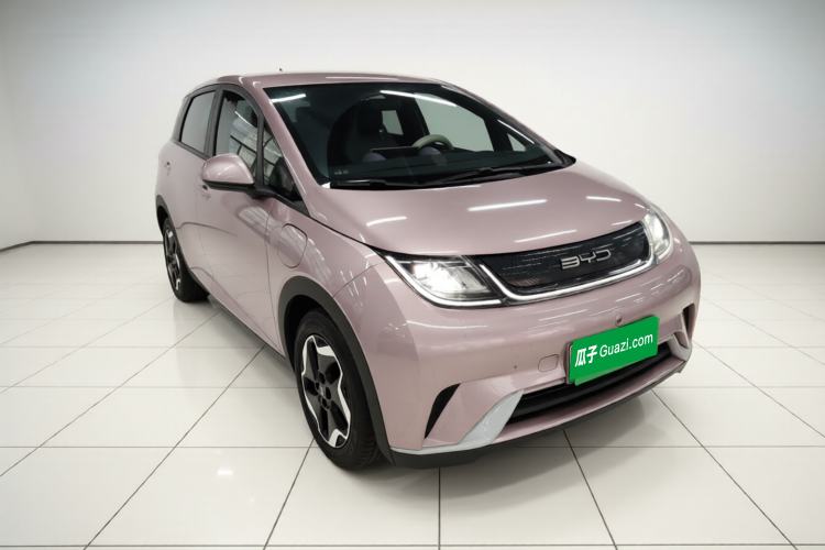 Used BYD Dolphin 2021 405 km Free Version
