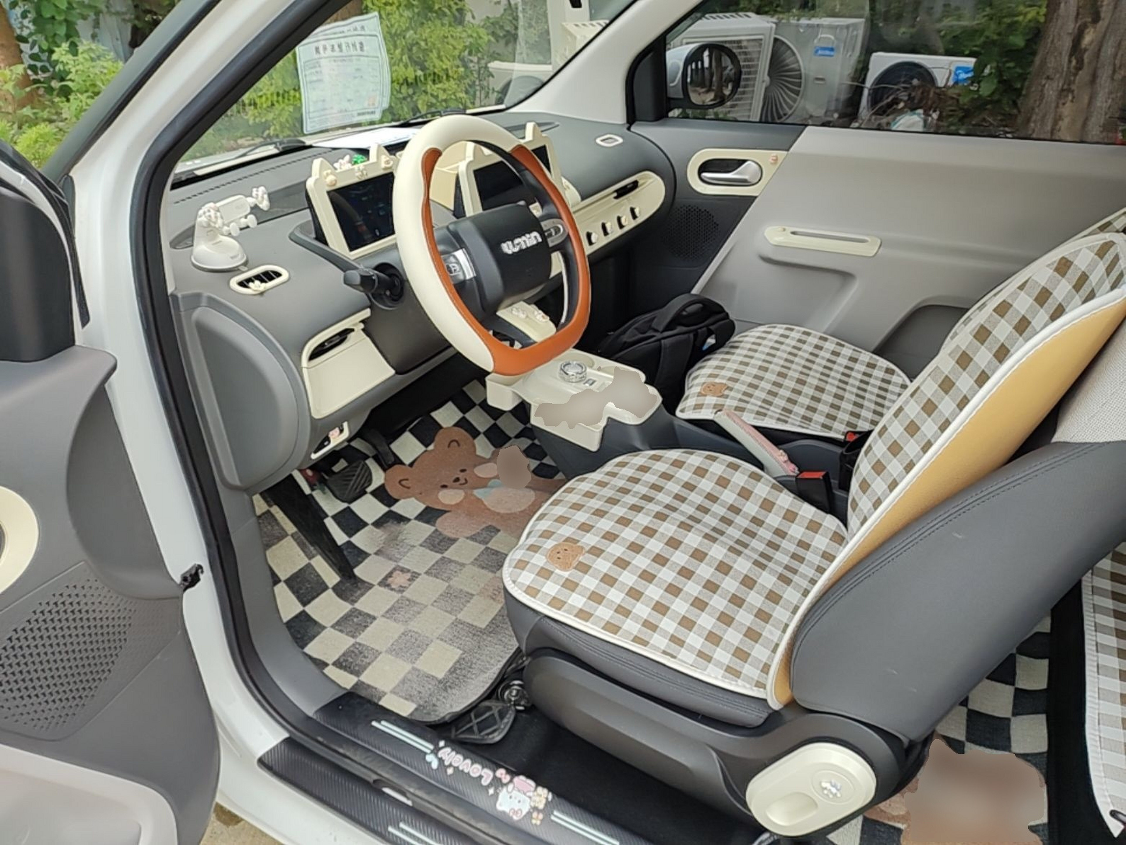 Interior delantero
