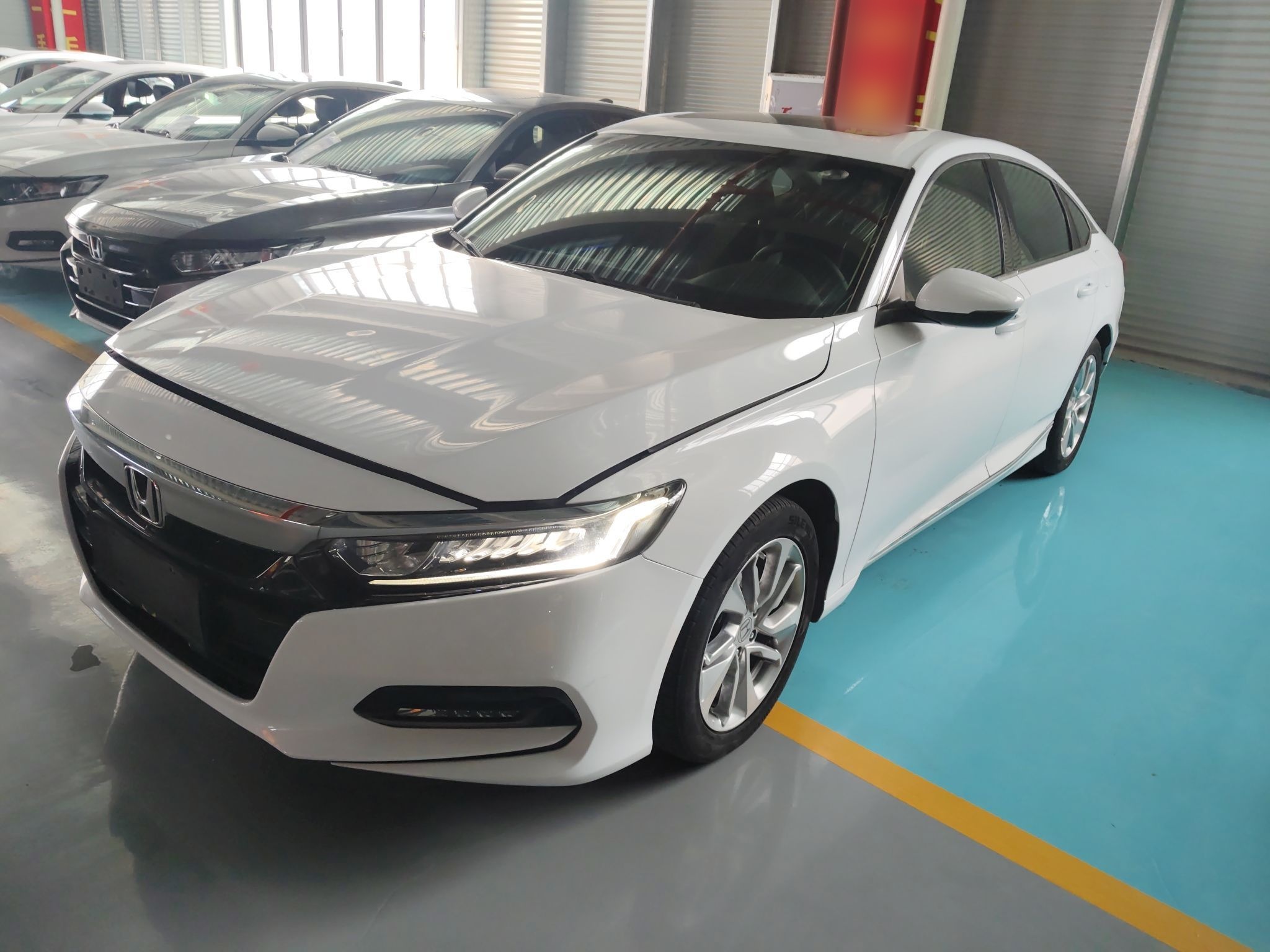 Parte inferior delantera