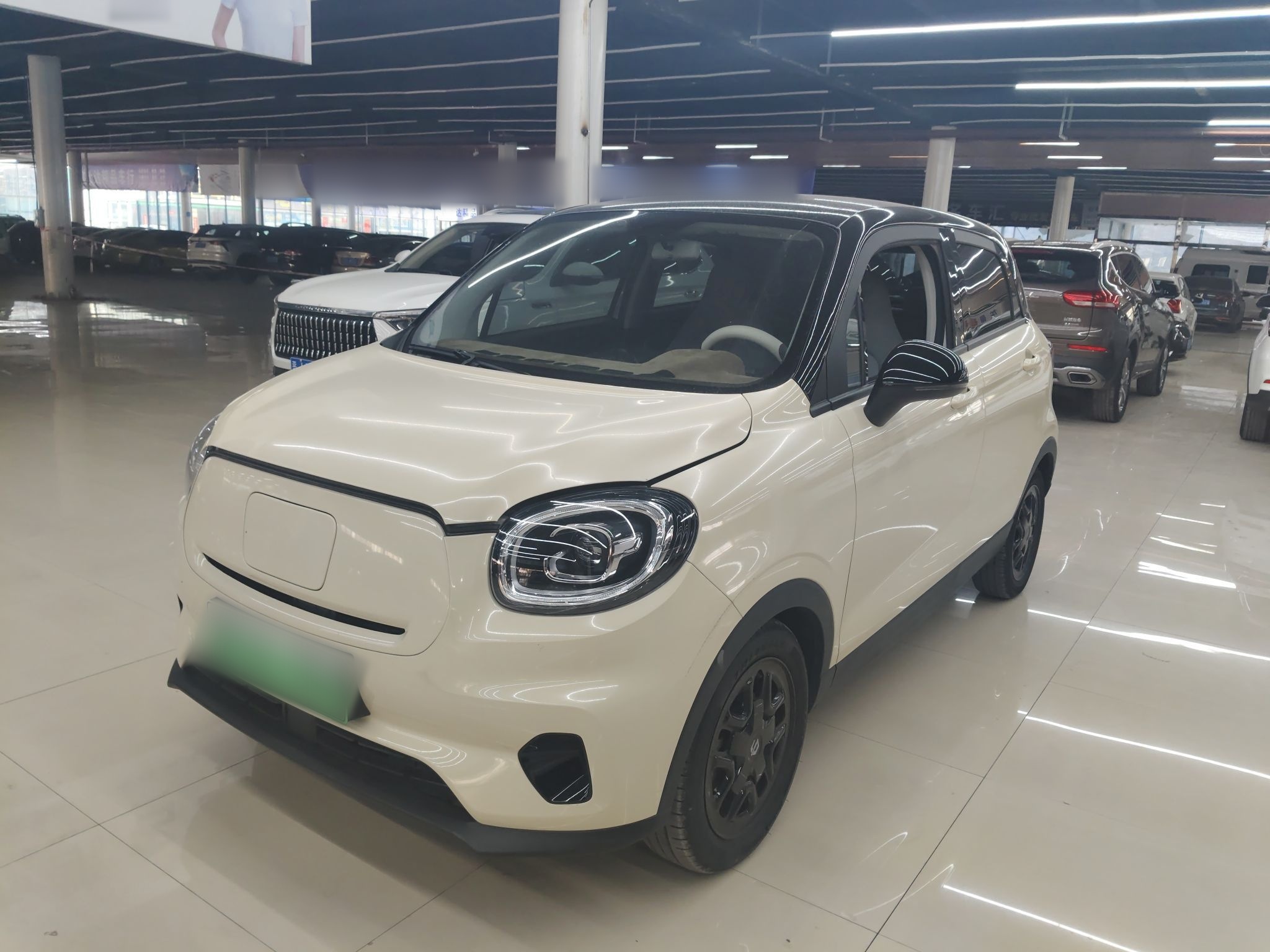 Parte inferior delantera