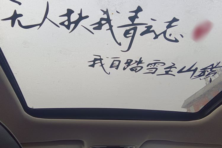 Used Leapmotor C11  Headliner