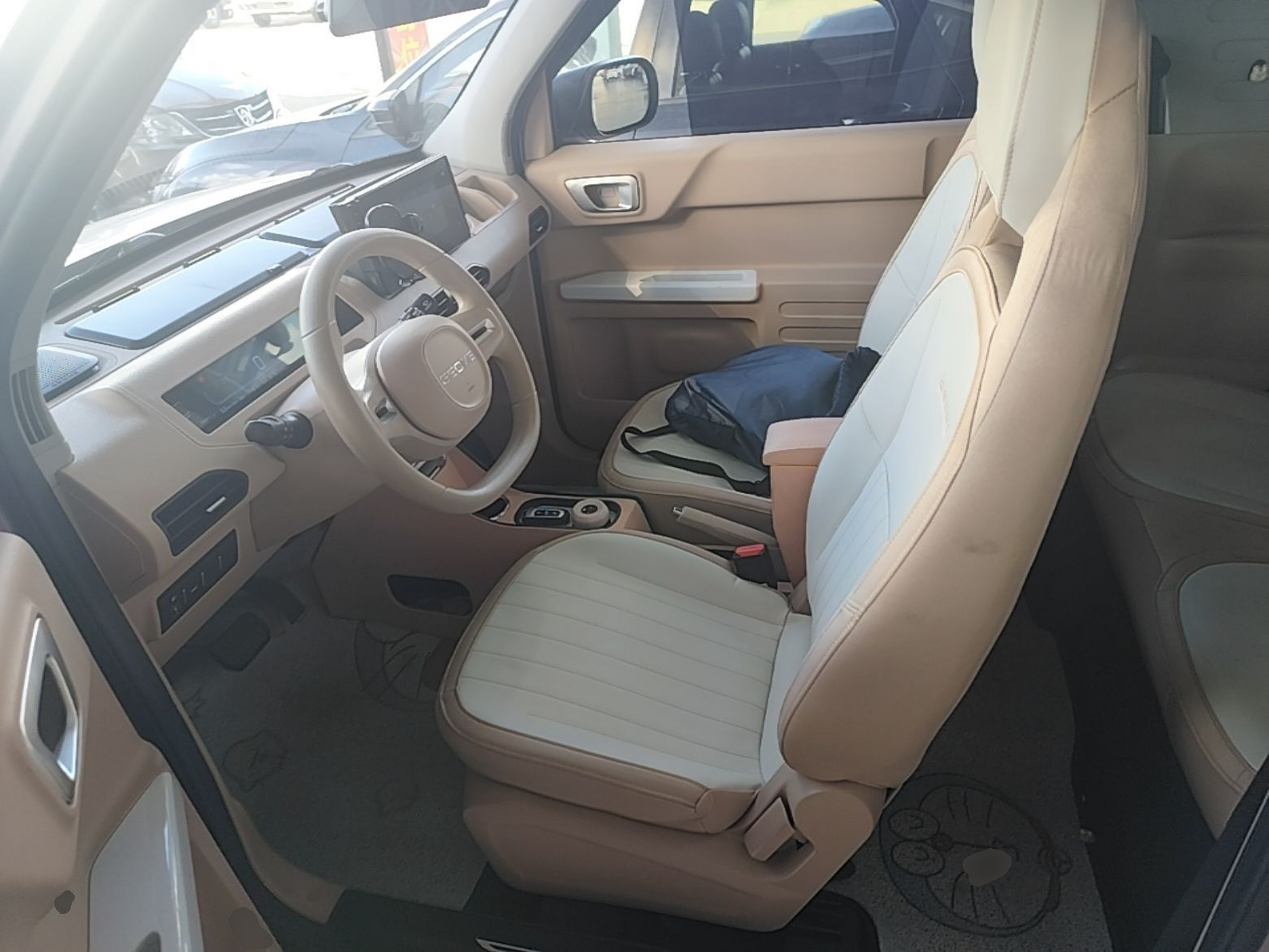 Interior delantero