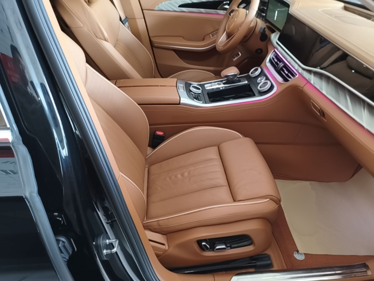 Hongqi H9 2023 2.0T Smart Connect Flagship Edition - Chinese Trim Xiang — снимка 19