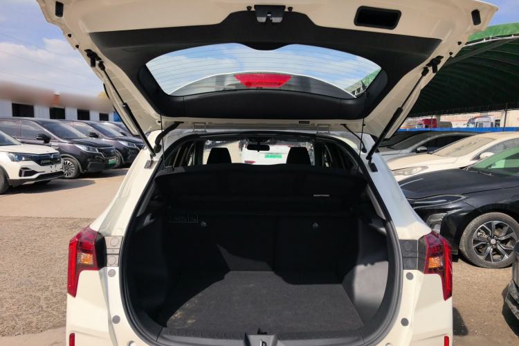 Used Venucia T60EV 2020 AI Enjoyment Model
