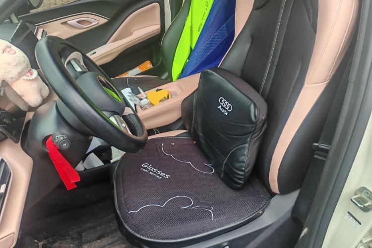 Used BYD Seagull 2025 305 km Free Version Left Front Seat