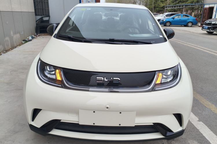 Used BYD Dolphin 2025 420km Free Edition
