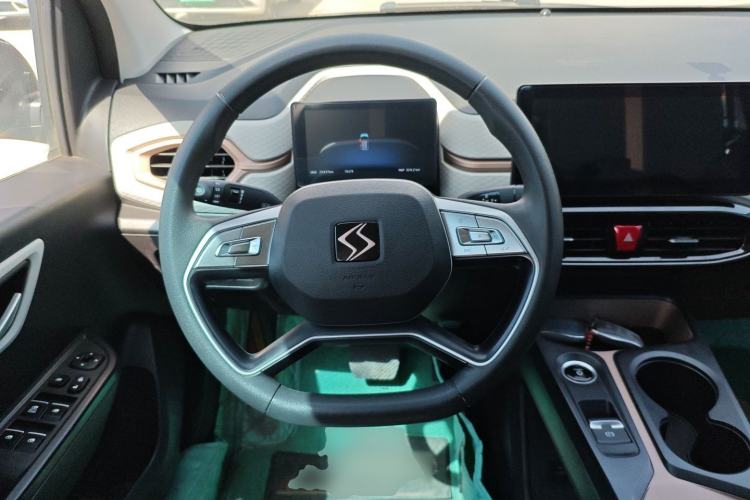 Used SOL E10X 2022 Flower Fairy Design Four-Leaf Clover
