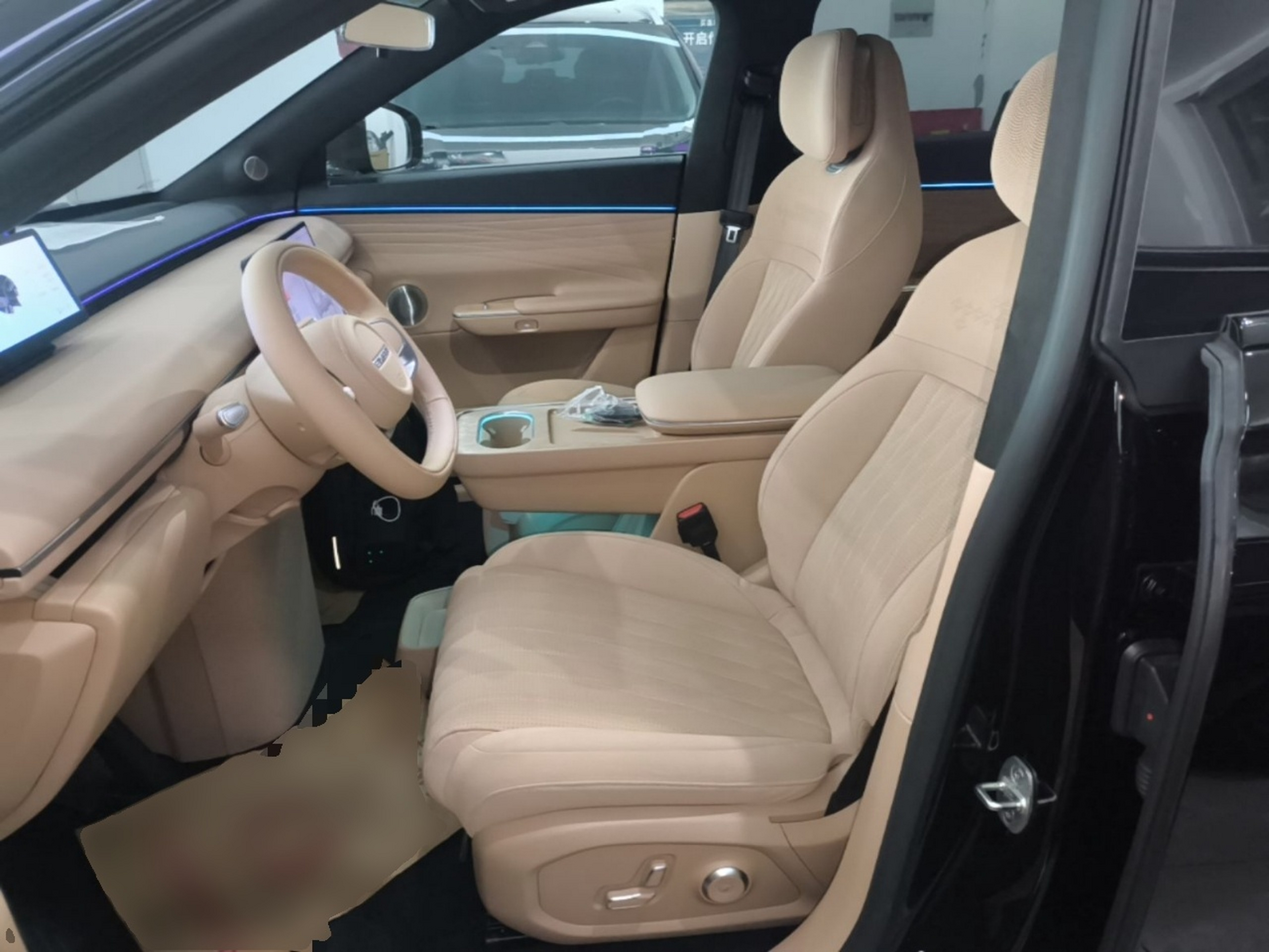 Interior delantero