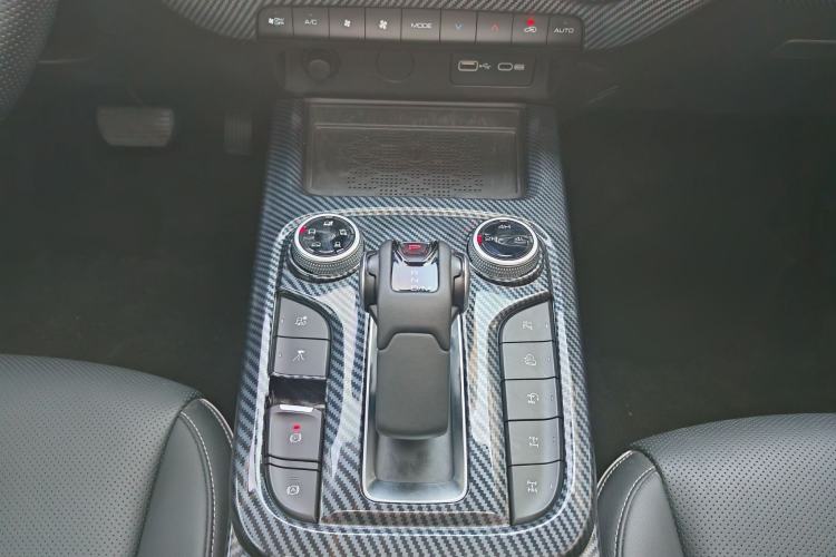 Used Tank 300 2024 2.0T Conqueror
