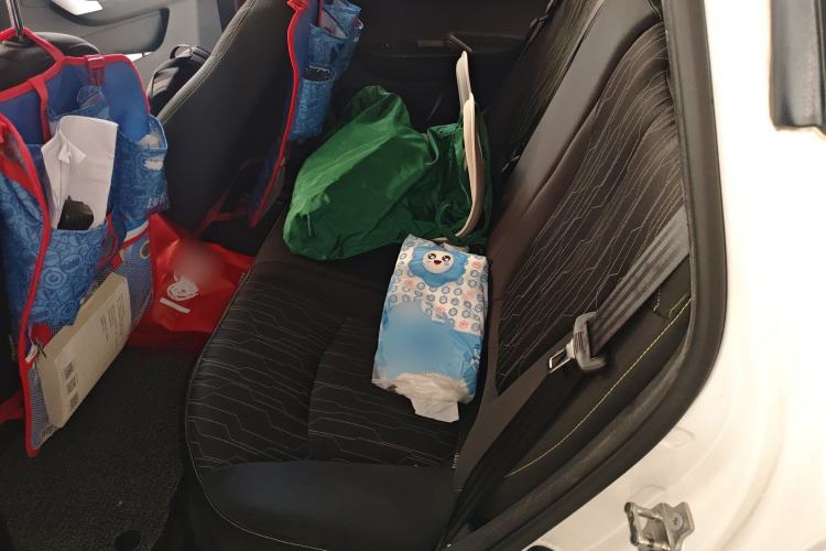 Used CHANGAN OSHAN Benni E-Star 2020 Heartbeat Edition NMC Lithium Left Rear Seat